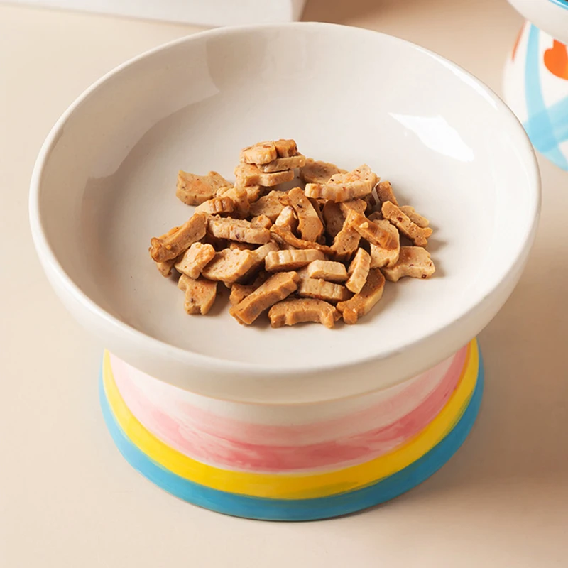 Erhöhter Keramiknapf für Katze – Food Snacks To Eat Bewertung und Preis